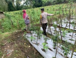 Bhabinkamtibmas Masbagik Utara Baru Sambangi Warga, Pantau Ketahanan Pangan dan Jaga Kamtibmas