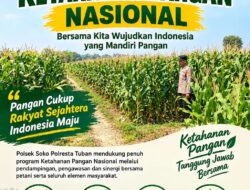 Polsek Soko Polresta Tuban Turun Langsung Cek Tanaman Jagung Warga  TUBAN, Soko (02/10/2026). Dalam rangka mendukung program Presiden Republik Indonesia terkait ketahanan pangan nasional, Polsek Soko Polresta Tuban terus berperan aktif mendampingi masyarakat, khususnya para petani di wilayah hukumnya.  Anggota Polsek Soko melaksanakan pengecekan lahan pertanian Jagung milik warga. Kegiatan tersebut merupakan tindak lanjut dari arahan Karo SDM Polda Jawa Timur Kombes Pol. Sih Harno, S.H., M.H., Kapolres Kota Tuban ,Kombespol Jazuli Dani Iriawan S.I.K.M.TR.Ospal serta Kapolsek Soko AKP.  Haryono, S.H., yang menekankan pentingnya keterlibatan Polri dalam mendukung program pemerintah, khususnya di bidang ketahanan pangan.  Kapolsek Soko AKP.  Haryono, S.H., menyampaikan bahwa Polri tidak hanya bertugas menjaga keamanan dan ketertiban masyarakat, tetapi juga hadir untuk mendampingi serta membantu masyarakat dalam mewujudkan program-program strategis nasional.  “Pengecekan tanaman Jagung ini merupakan bentuk nyata dukungan Polri terhadap program ketahanan pangan nasional sebagaimana tercantum dalam Asta Cita Presiden Republik Indonesia. Kami ingin memastikan para petani mendapatkan pendampingan serta dukungan yang diperlukan untuk meningkatkan hasil pertanian mereka,” ujar AKP Haryono, S.H.  Dalam kegiatan tersebut, anggota polsek Soko berdialog langsung dengan para petani guna mengetahui berbagai kendala yang dihadapi, mulai dari perawatan tanaman, ketersediaan pupuk, hingga potensi serangan hama. Hasil pemantauan ini nantinya akan menjadi bahan evaluasi dan koordinasi dengan pihak terkait dalam upaya meningkatkan produktivitas pertanian di wilayah Kecamatan Soko.  Melalui kegiatan turun langsung ke lahan pertanian, Polri berharap dapat mempererat sinergi dengan masyarakat serta berkontribusi dalam mewujudkan swasembada pangan dan ketahanan pangan nasional yang menjadi salah satu prioritas pemerintah.