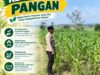 Dukung Program Ketahanan Pangan, Polsek Bangilan Monitoring Pertumbuhan Tanaman Jagung