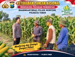 Mendukung Asta Cita Presiden bhabinkamtibmas Polsek Montong Polresta Tuban Pantau Kodisi Tanaman Jagung Milik Warga Desa pakel