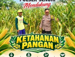 Polisi RW Polsek Senori Polresta Tuban Monitoring Tanaman Jagung Warga Desa Medalem