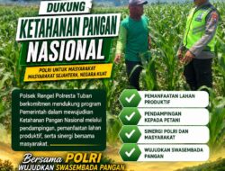 Polri Dukung Astacita, Polsek Rengel Polres Tuban Turun Cek Tanaman Padi Warga di Desa Maibit