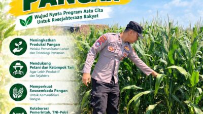 Dukung Ketahanan Pangan, Bhabinkamtibmas Monitoring Pertumbuhan Tanaman Jagung