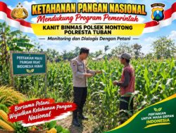Mendukung Asta Cita Presiden Polmas Polsek Montong Polresta Tuban Pantau Kodisi Tanaman Jagung Milik Warga Desa Jetak