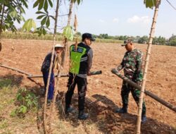 Polri Dukung Astacita, Polsek jenu Polres Tuban Turun Cek Tanaman Jagung Warga di Desa suwalan