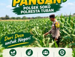 Polsek Soko Polresta Tuban Turun Langsung Cek Tanaman Jagung Warga