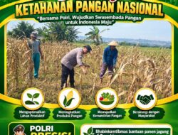 TURUN KE LAPANGAN, ANGGOTA POLSEK KEREK BANTU PETANI PANEN JAGUNG DI DESA BINAAN
