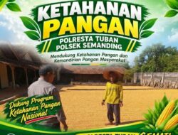 Polri Dukung Astacita, Polsek Semanding Polresta Tuban Turun Cek Tanaman jagung milik Warga di Desa Kowang
