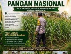 BHABINKAMTIBMAS PANTAU PERTUMBUHAN TANAMAN JAGUNG DI DESA BINAAN