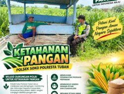 Polsek Soko Polresta Tuban Turun Langsung Cek Tanaman Jagung Warga
