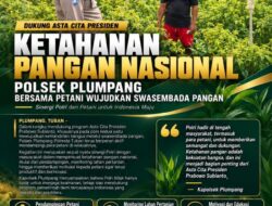 Polsek Plumpang Polresta Tuban Turun Langsung Cek Tanaman Jagung Warga