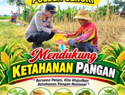 Dukung Program Ketahanan Pangan Kapolsek Senori Polresta Tuban Polda Jatim Menanam Jagung Bersama Warga Desa Sidoharjo
