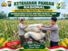 Mendukung Asta Cita Presiden bhabinkamtibmas Polsek Montong Polresta Tuban Pantau Kodisi Tanaman Jagung Milik Warga Desa pakel