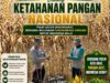 Dukung Ketahanan Pangan Nasional, Bripda Dodi Monitoring Hasil Panen Jagung di Desa Tergambang