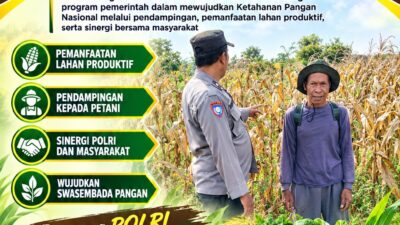 Polri Dukung Astacita, Polsek Rengel Polresta Tuban Turun Cek Tanaman Jagung Warga di Desa Sawahan