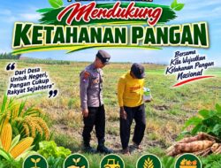 Anggota Bhabinkamtimas Polsek Senori Polres Tuban Polda Jatim Menanam Jagung Bersama Warga Desa Leran