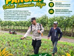 Polri Dukung Astacita, Polsek Merakurak Polresta Tuban Turun Cek Tanaman Jagung Warga di Desa Tuwiri Wetan