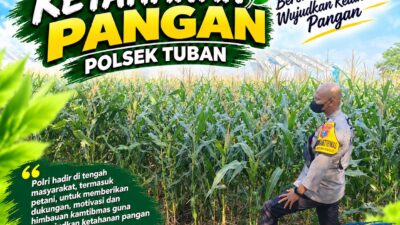 Polsek Tuban Dukung Ketahanan Pangan Nasional melalui Pemantauan Tanaman Jagung