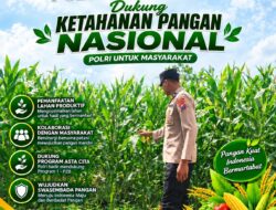 Anggota Polsek Singgahan Polresta Tuban Turun Cek Tanaman jagung Warga di Desa Tingkis