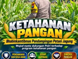 Mendukung Program Ketahanan Pangan, Bhabinkamtibmas Monitoring Pertumbuhan Jagung