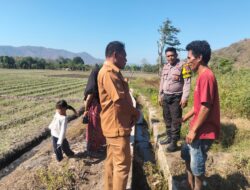 Bhabinkamtibmas Desa Konte Ajak Petani Atur Pembagian Air Irigasi untuk Dukung Ketahanan Pangan