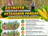 Dukung Astacita, Polsek Palang Polresta Tuban Pantau Langsung Lahan Jagung milik warga Desa Dawung