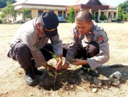 Wujudkan Lingkungan Asri dan Hijau, Polsek Alas Gelar Aksi Penanaman Pohon Ketapang Kencana Lewat Program Green Policing