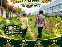 Polsek Plumpang Polresta Tuban Turun Langsung Cek Tanaman Jagung Warga