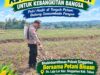 Anggota Polsek Singgahan Polresta Tuban Turun Cek Tanaman jagung Warga di Desa Lajo Lor