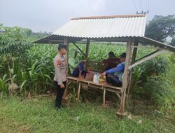Dukung Ketahanan Pangan, Bhabinkamtibmas Polsek Tambakboyo Monitoring Lahan Jagung dan Dialog Bersama Petani