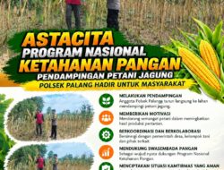 Dukung Astacita, Polsek Palang Polresta Tuban Pantau Langsung Lahan Jagung milik warga Desa Dawung