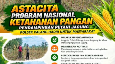 Dukung Astacita, Polsek Palang Polresta Tuban Pantau Langsung Lahan Jagung milik warga Desa Dawung