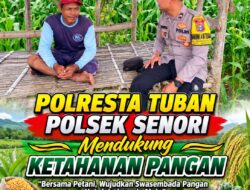 Bhabinkamtibmas Polsek Senori Polresta Tuban Lakukan Pemantauan Tanaman Jagung Warga Desa Wanglukulon Program Ketahanan Pangan