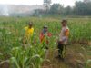 Dukung Ketahanan Pangan, Bhabinkamtibmas Polres Bima Kota Cek Tanaman Jagung Warga Binaan