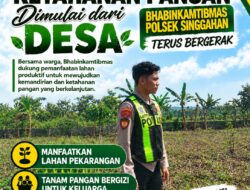 Anggota Polsek Singgahan Polresta Tuban Turun Cek Tanaman jagung Warga di Desa Tingkis
