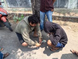 Baru Dua Bulan Bebas, Residivis Narkoba Kembali Ditangkap Polsek Asakota Bersama Dua Rekannya
