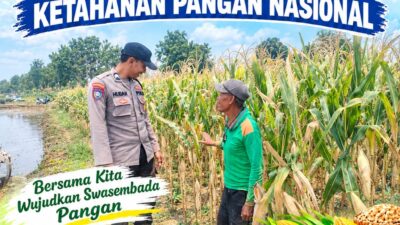 Polri dukung progam Astacita, Polsek Jatirogo Polresta Tuban Turun Cek Tanaman jagung Warga di Desa Kebonharjo