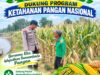 Polsek Palang Dukung Ketahanan Pangan Nasional Melalui Pemantauan Lahan Jagung