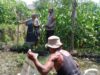 Bhabinkamtibmas Kelayu Selatan Cek Tanaman Jagung, Dukung Ketahanan Pangan dan Sampaikan Imbauan Kamtibmas