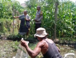 Bhabinkamtibmas Kelayu Selatan Cek Tanaman Jagung, Dukung Ketahanan Pangan dan Sampaikan Imbauan Kamtibmas